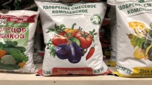Чем кормить петунии после высадки в кашпо? Какое удобрение пролонгированного действия выбрать?