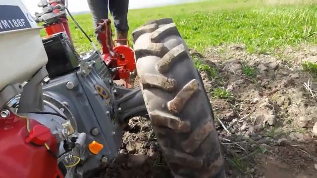 Посадка картофеля мотоблоком Мотор Сич(GROSSHOPPER), под плуг. смотреть онлайн