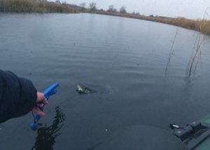 Рыбалка в дождь на спиннинг в Панинском пруду