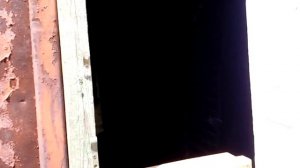 куры 10 мая, фокси чик, гриз бар, доминат голубой, доминат бурый