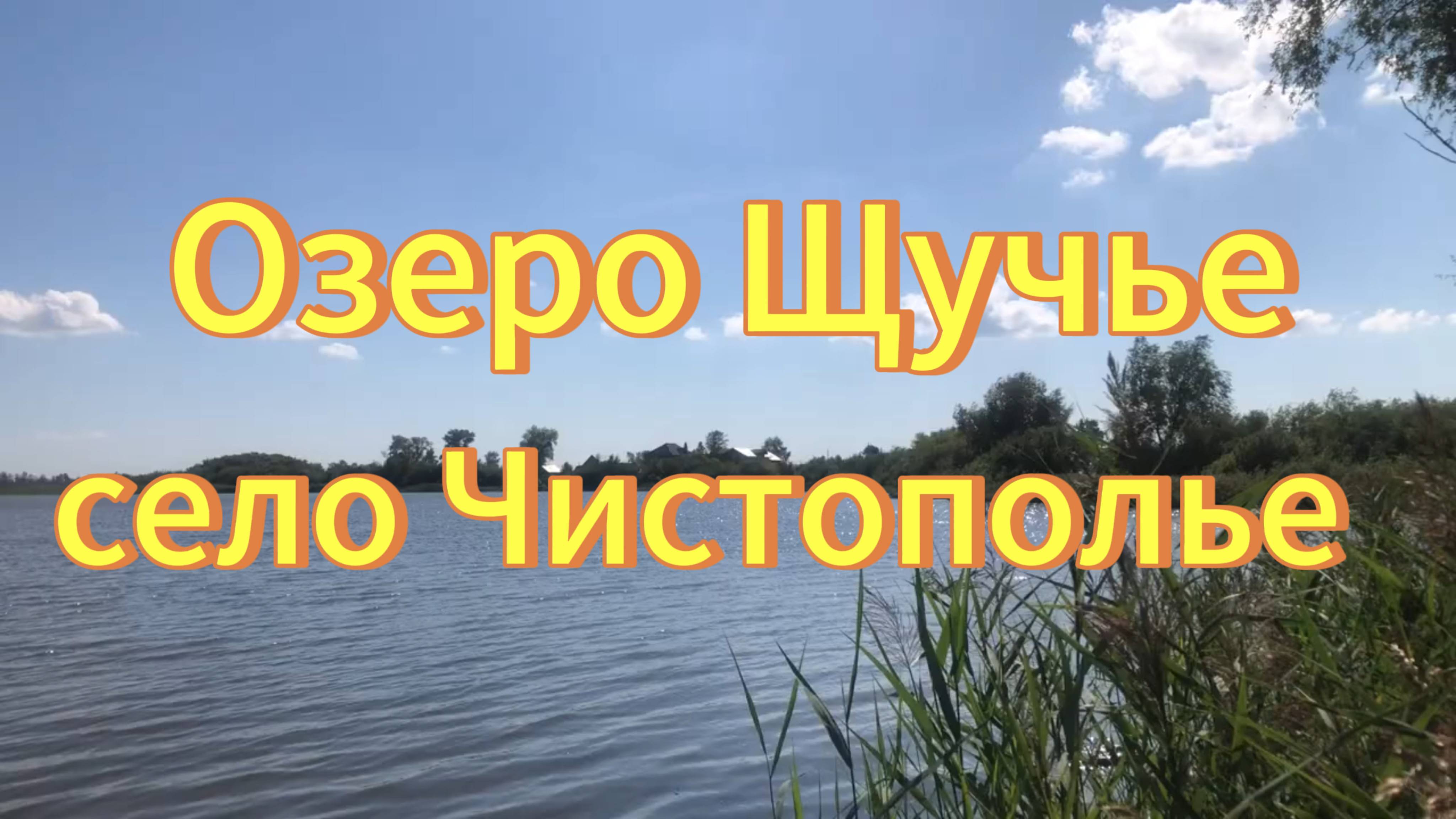 Озеро Щучье, село Чистополье, Коченёвский район Новосибирская область. Природа.