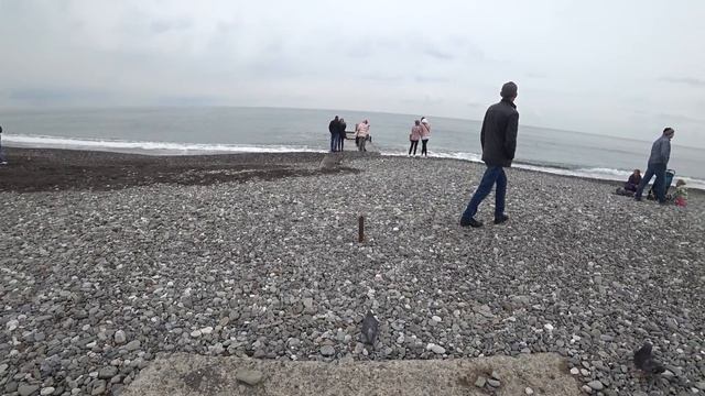 АДЛЕР.НАБЕРЕЖНАЯ И "МАНДАРИН". ПЛЯЖ "ЧАЙКА" ЕЩЁ ЦВЕТЁТ МИМОЗА И МАГНОЛИИ .. смотреть онлайн