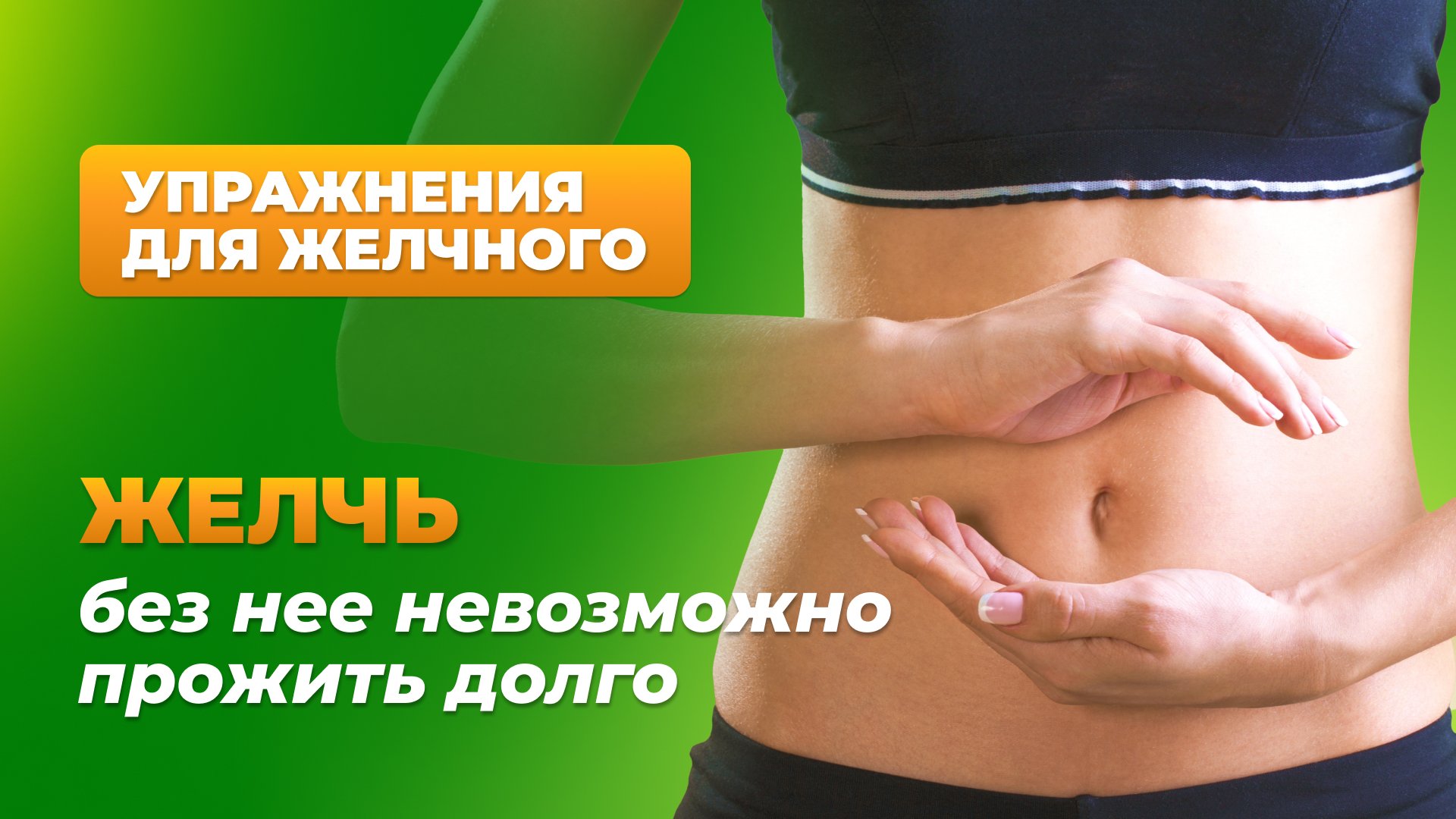 Желчь. Без нее невозможно прожить долго.
Упражнения для желчного