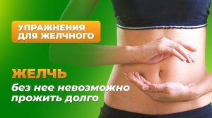 Желчь. Без нее невозможно прожить долго.
Упражнения для желчного
