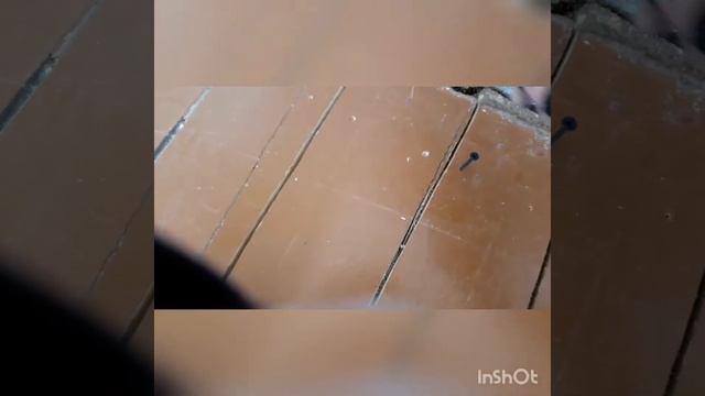 Устранение скрипа пола