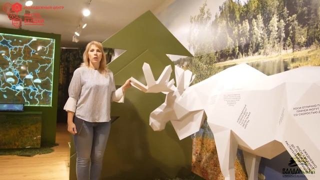 Онлайн-экскурсия по достопримечательностям Валдая: Национальный парк “Валдайский”