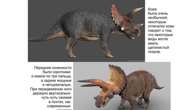 Травоядные динозавры Детский сад Сказка Презентация