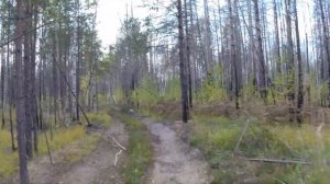 Кавасаки КЛХ 250 по лесным дорожкам.