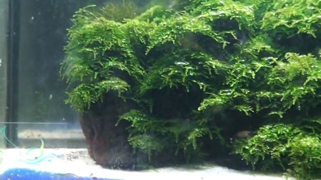 Микроразбора "галактика" смотреть онлайн