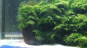 Микроразбора "галактика"