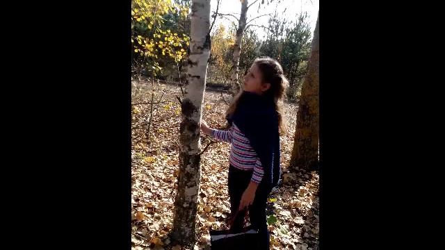 Как сделать фотосессию ?Осенняя фотосессия.идея фото.фотосессия осенью.идеи для фотосессии. смотреть онлайн