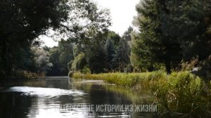 НАУЧИЛАСЬ НОВЫМ ПОЗАМ В ОТПУСКЕ БЕЗ МУЖА. Измена жены. Жизненные истории и аудио рассказы