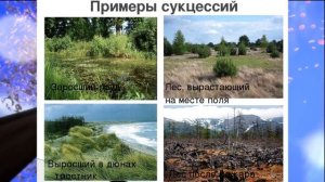 Биология, 6 кл., § 32" Смена природных сообществ и её причины"