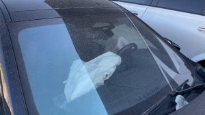 VID-20240819-WA0046.mp4