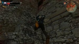 Witcher 3: Как залезть в тюрьму Туссента