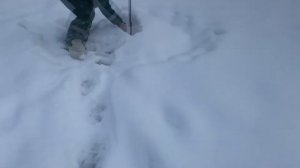 Трудовая зимняя рыбалка. Проверяем крюки на налима.