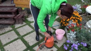 6 соток 3 октября 2023 года хроника