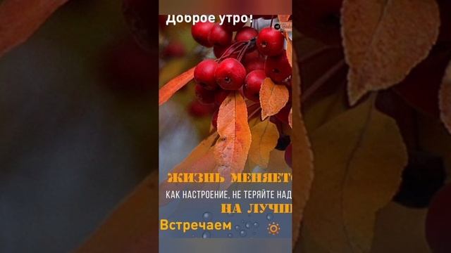 С ноябрьским добрым утром смотреть онлайн