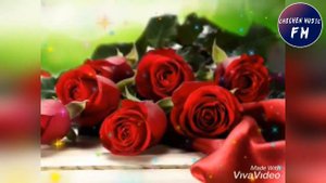 Руслан Ахмадов♥️1уьйре Йита Реза Ву♥️2019
