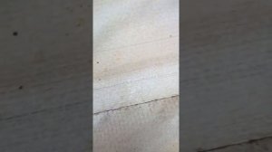 пвх-мембрана Технониколь Ecoplast vrp 1.2 в Крыму