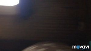 Ауди А4 ремонт реле поворотов