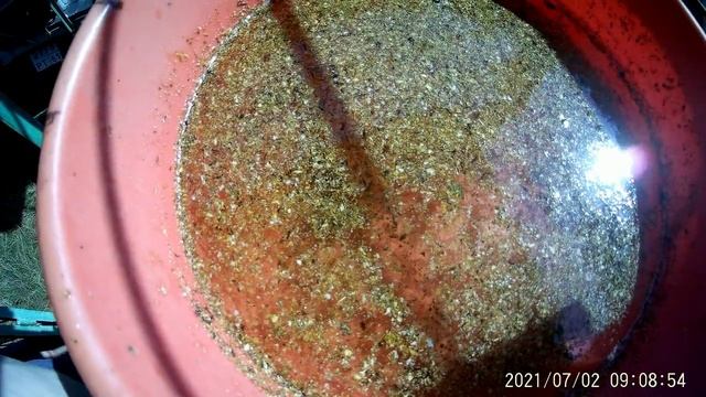 Носят ли нектар пчелы за 6,5 км?Проверяем пчелосемьи после откачки мёда на Клеща Варроа. смотреть онлайн