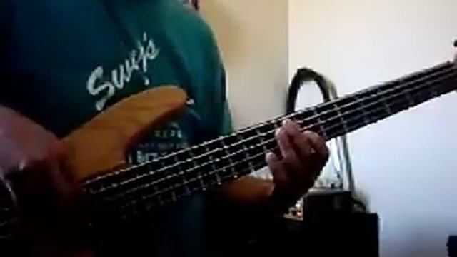 latin bass book - track 18 - David Eden wtx-260 смотреть онлайн