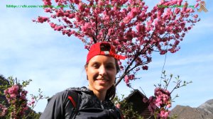 Алтай 77 ►► Велотур Май 2015.