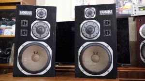 Yamaha NS-1000M Test