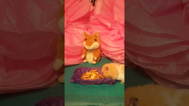 МИСТЕР ХОМЯК смотреть онлайн