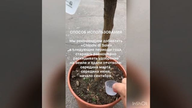 «Chicchi di Sole» - Медленное гранулированное удобрение для цитрусовых из питомника Оскар Тинтори смотреть онлайн