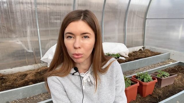 Как вырастить КРАСИВУЮ И ПЫШНУЮ ПЕТУНИЮ. Обязательные правила ухода