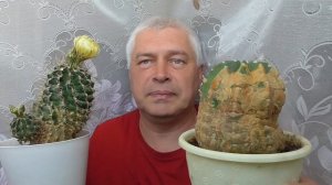 У человека два кактуса, один кактус цветёт, второй кактус не растёт. Геннадий Горин