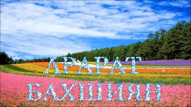 Букеты Цветов. Любовь - светлый лучик солнца... смотреть онлайн