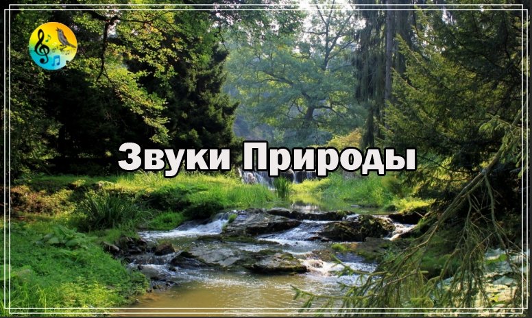 Звуки природы успокаивает. Голос природы. Звуки природы чтобы успокоиться. Расслабляющий звуки природы журчание воды. Покажи видео успокаивающие звуки природы.