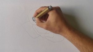 How To Draw A Rose For Beginners+ Kaweco Pencil Review By EdgarsArt