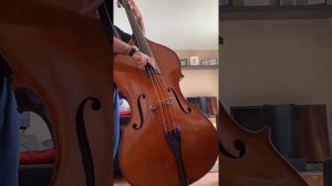 Double Bass for sale
