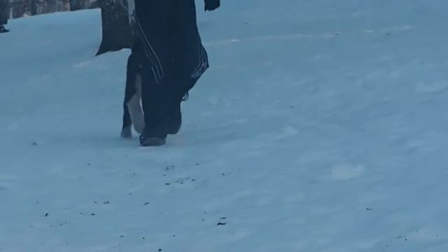 АЗИАТЫ из БАШКИРИИ... смотреть онлайн