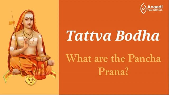 13. What are the Pancha Prana: Tattva Bodha смотреть онлайн