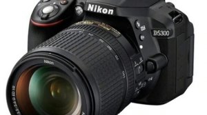 Nikon D3500 review