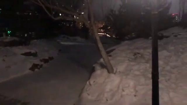 ВЛОГ. Отпуск. Красноярск. Парк "Сады мечты". Сибирь. смотреть онлайн