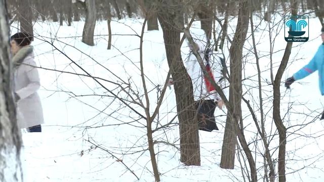 Скандинавская ходьба смотреть онлайн