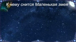 К чему снится Маленькая змея (Сонник)