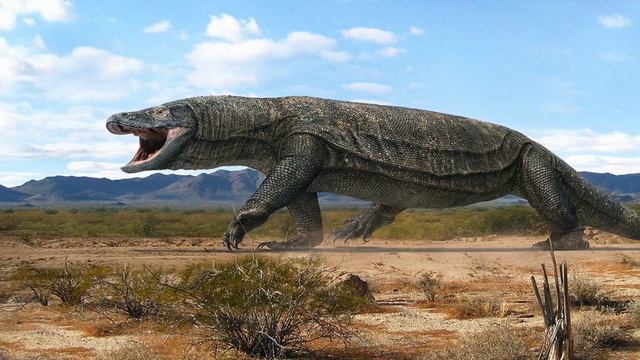 Мега-Ящерицы весом 500 кг обитали в древней Австралии смотреть онлайн