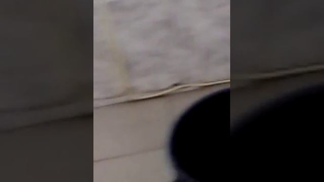 мальчик переодевается в ванне LOL. смотреть онлайн