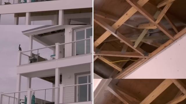 Neighbours Called Him Crazy, But He Had the Last Laugh смотреть онлайн