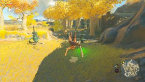 НАЧАЛО ПРИКЛЮЧЕНИЙ ► THE LEGEND OF ZELDA TEARS OF THE KINGDOM #1 ПРОХОЖДЕНИЕ НА NINTENDO SWITCH