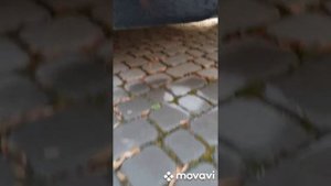 megane 3, 1 5 k9k . Регенерація сажевого фільтра