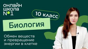 Обмен веществ и превращение энергии в клетке. Видеоурок 13. Биология 10 класс