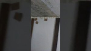 Первое эконом помещение для разведения Дендробены..mp4